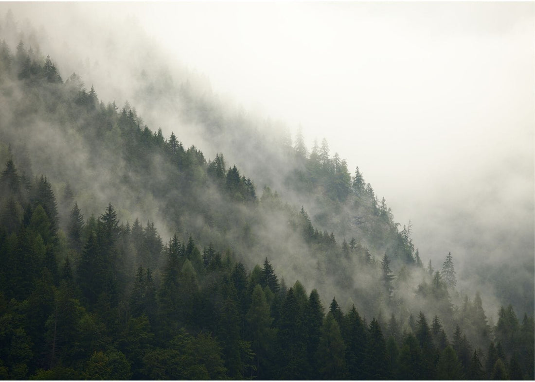 Brain Fog - How To Beat It Naturally - Niyama Wellness
