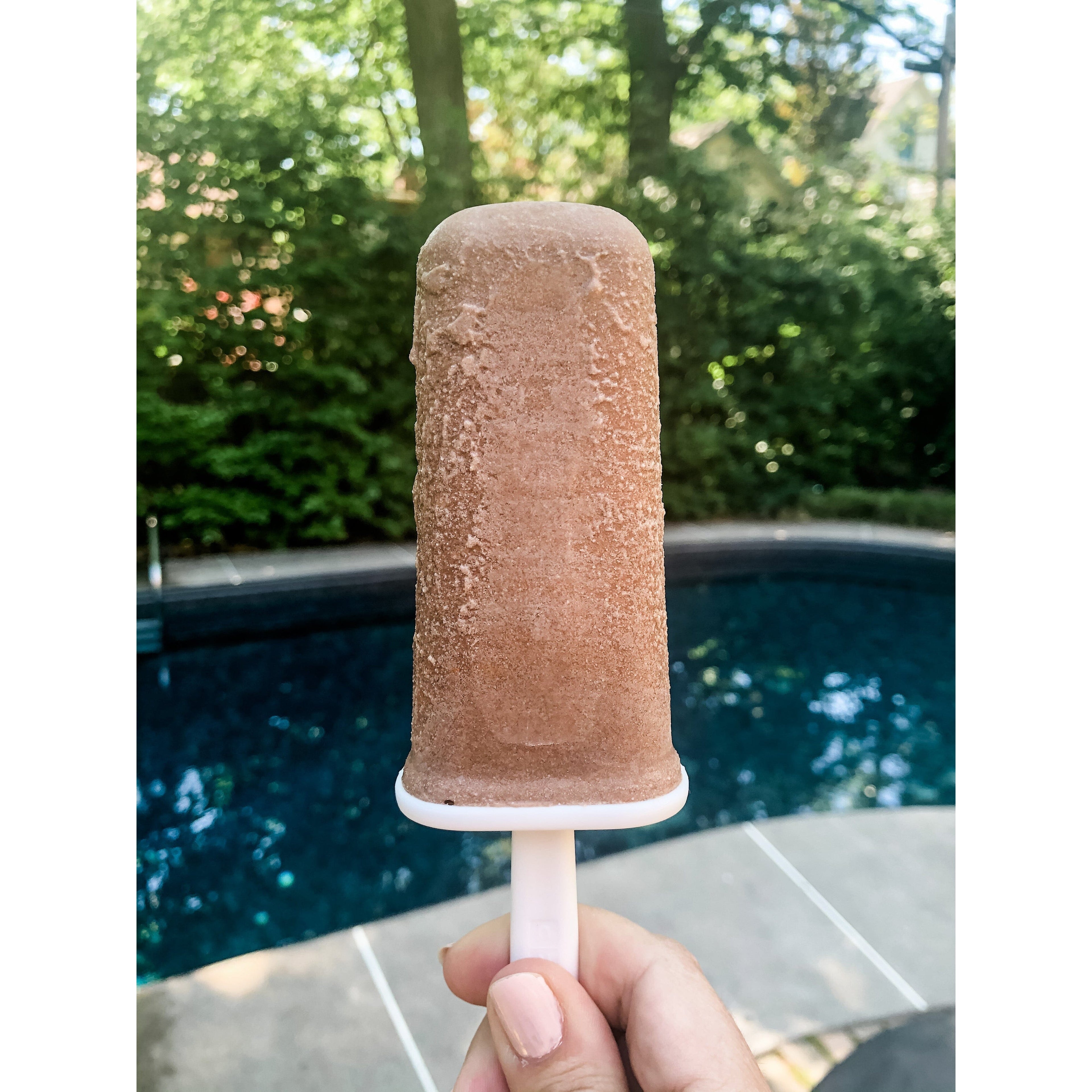 Creamy Chocolate Coconut Ice Pops - Niyama Wellness