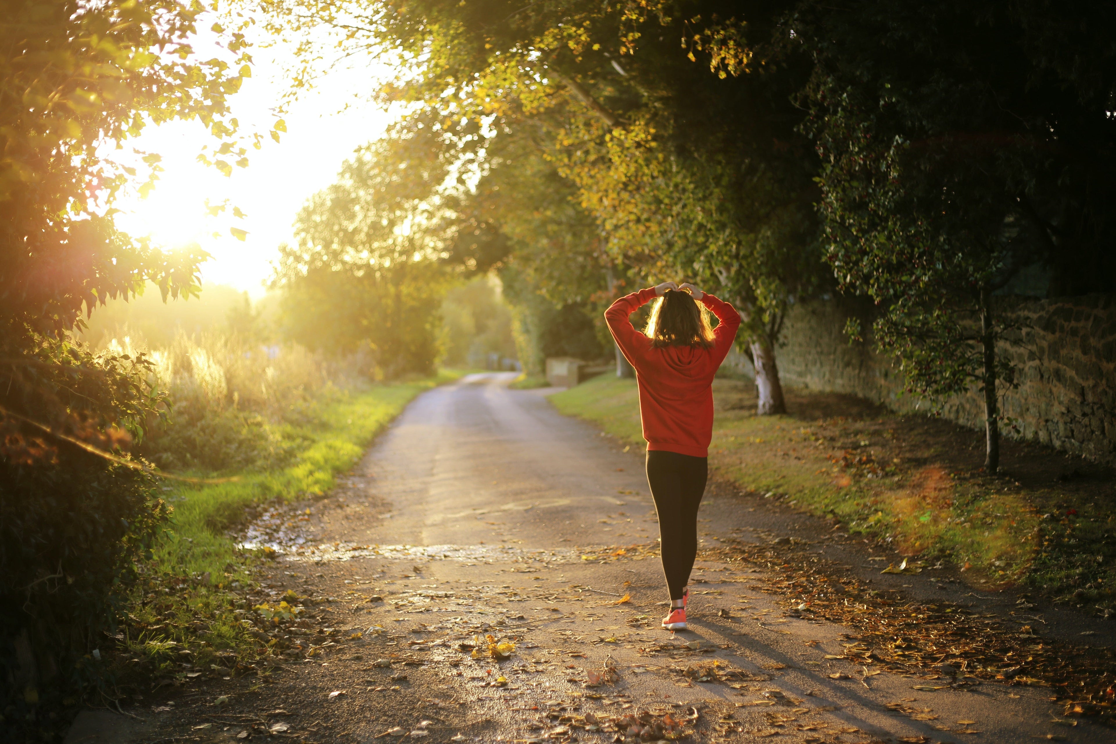 Electrolytes Explained - Niyama Wellness