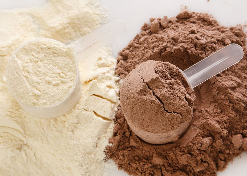 How to choose the best plant protein powder to add to your wellness routine