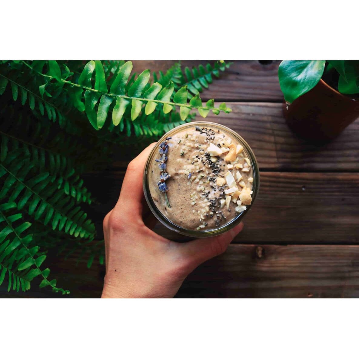 How To Choose The Best Vegan Protein Powder for Yogis - Niyama Wellness