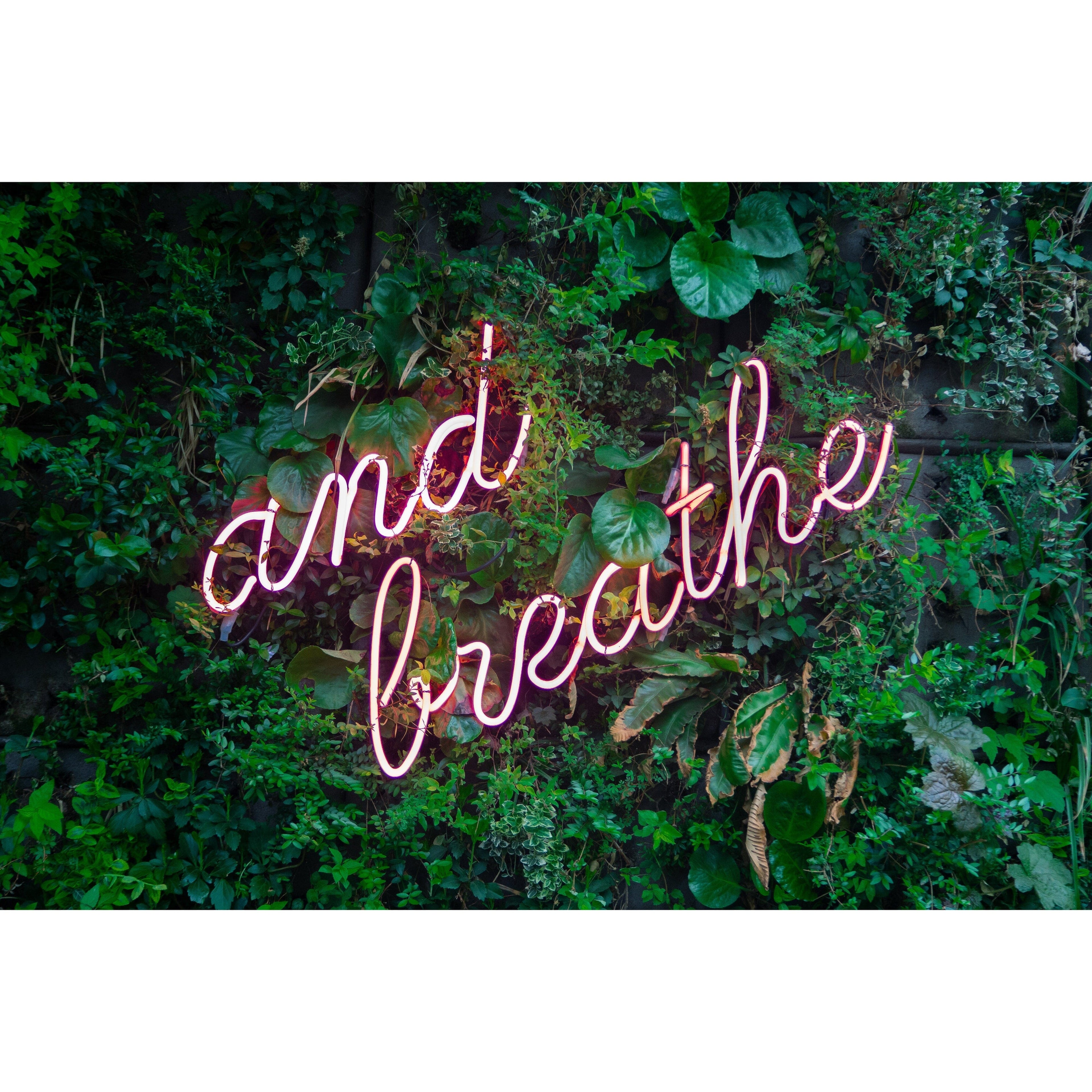 My Favourite Stress-Busting Natural Ingredient (hint - it's found in green tea!) - Niyama Wellness
