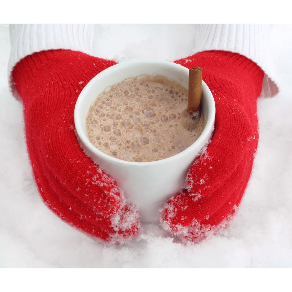 Plant Protein Hot Cocoa - Niyama Wellness