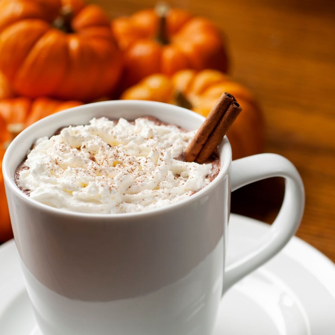 Pumpkin Spice Latte Healthy Vegan non-dairy with protein | Niyama Wellness