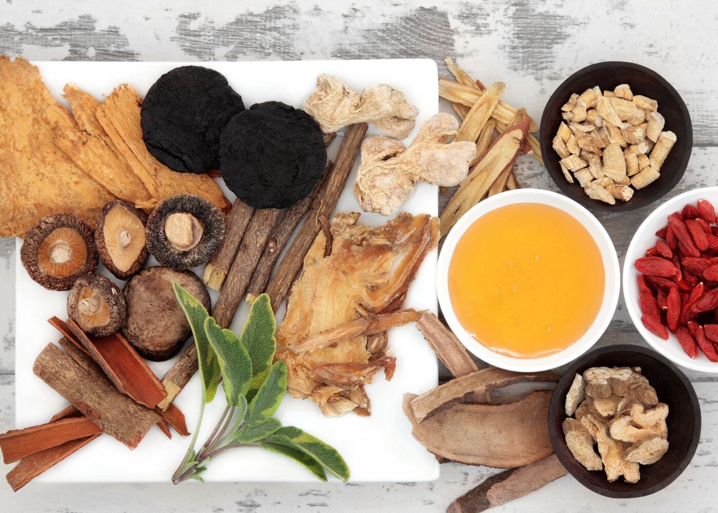 Shrooms 101 - Niyama Wellness