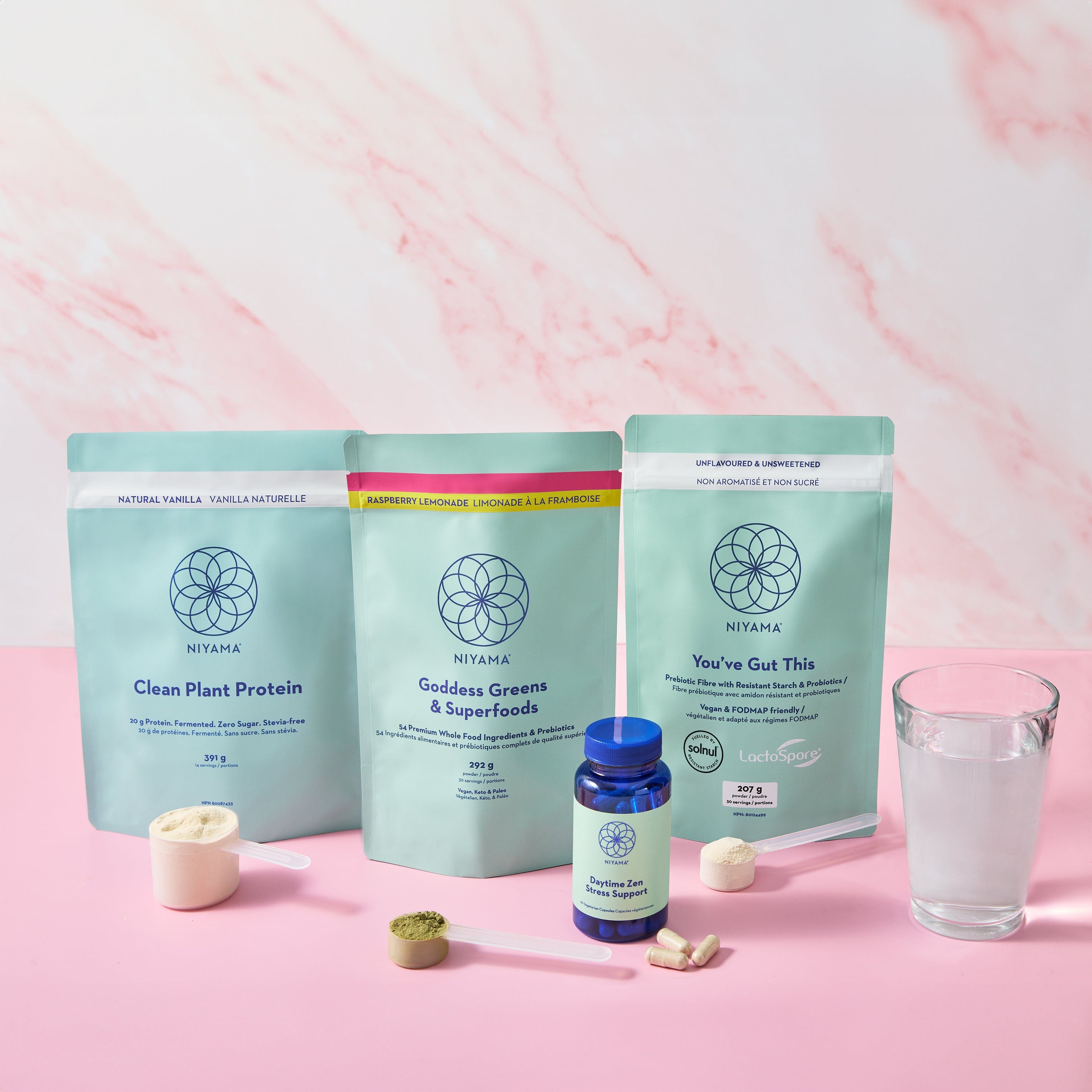 Gut Health