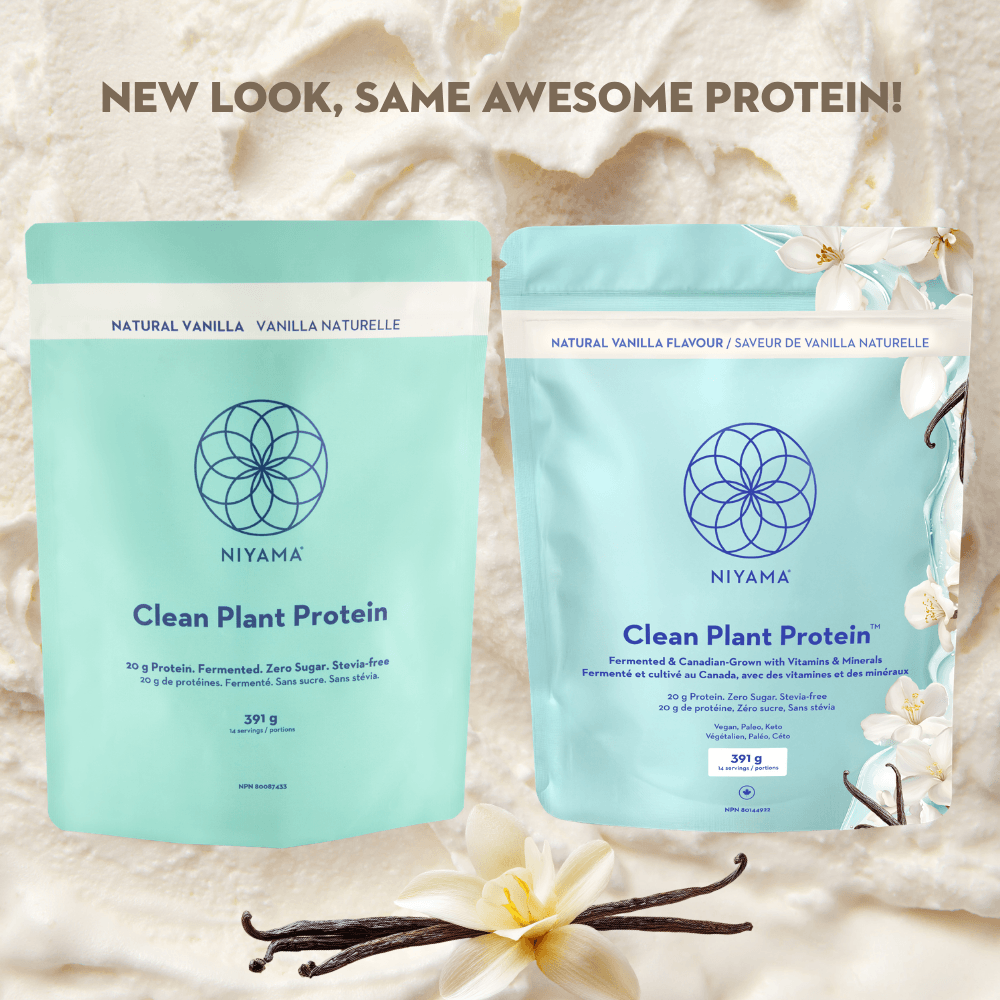 Clean Plant Protein Powder - 14 servings - Stevia-free - Organic
