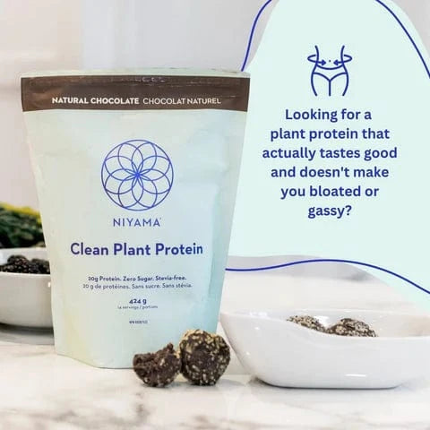 Clean Plant Protein Powder - 14 servings - Stevia-free - Organic – Nourish | Niyama Wellness