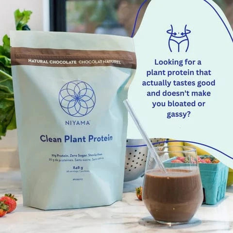 Clean Plant Protein Powder - 28 servings - Stevia-free - Organic – Nourish | Niyama Wellness